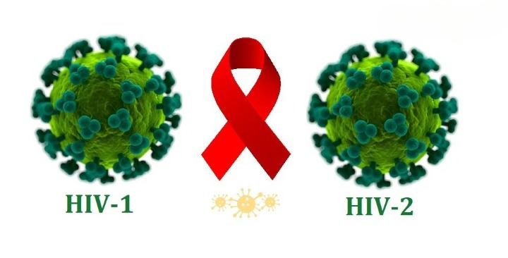 HIV-2 چیست؟